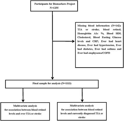 Increased Blood Retinol Levels Are Associated With a Reduced Risk of TIA or Stroke in an Adult Population: Lifestyle Factors- and CVDs-Stratified Analysis